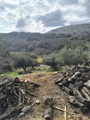 Οικόπεδο 7.500 τ.μ. για πώληση