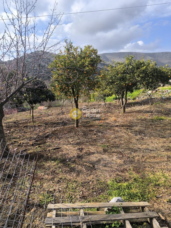 Οικόπεδο 7.500 τ.μ. προς πώληση, Πόρος Ηρακλείου