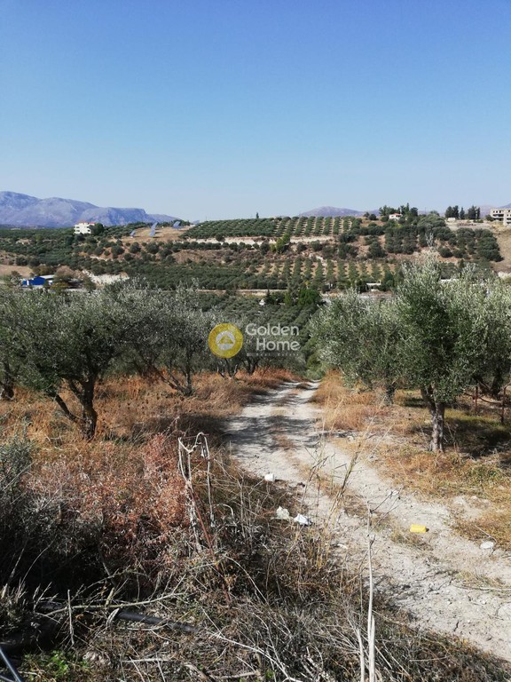 Οικόπεδο 6.000 τ.μ. προς πώληση, Αθάνατοι
