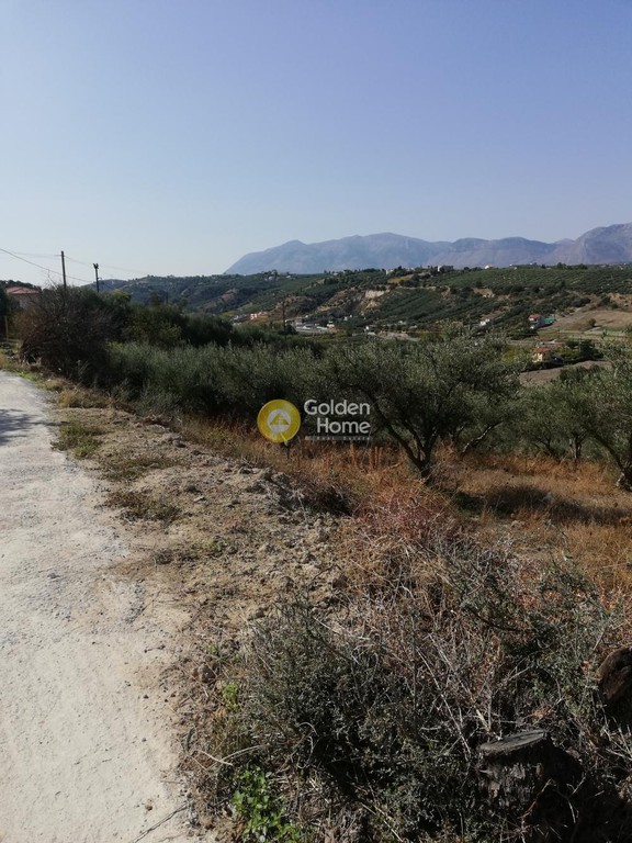 Οικόπεδο 6.000 τ.μ. προς πώληση, Αθάνατοι