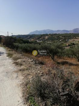 Οικόπεδο 6.000 τ.μ. για πώληση