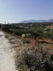Οικόπεδο 6.000 τ.μ. για πώληση