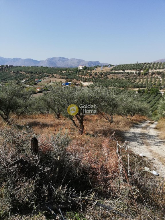 Οικόπεδο 6.000 τ.μ. προς πώληση, Αθάνατοι