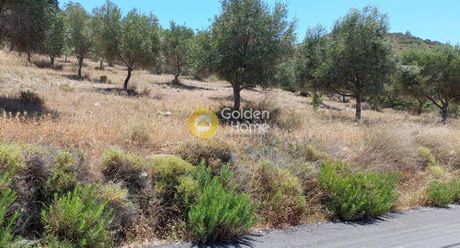 Οικόπεδο 7.300 τ.μ. για πώληση