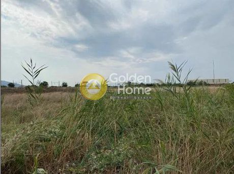 Αγροτεμάχια 47.250τ.μ. για πώληση-Νέσσωνας » Αμφιθέα
