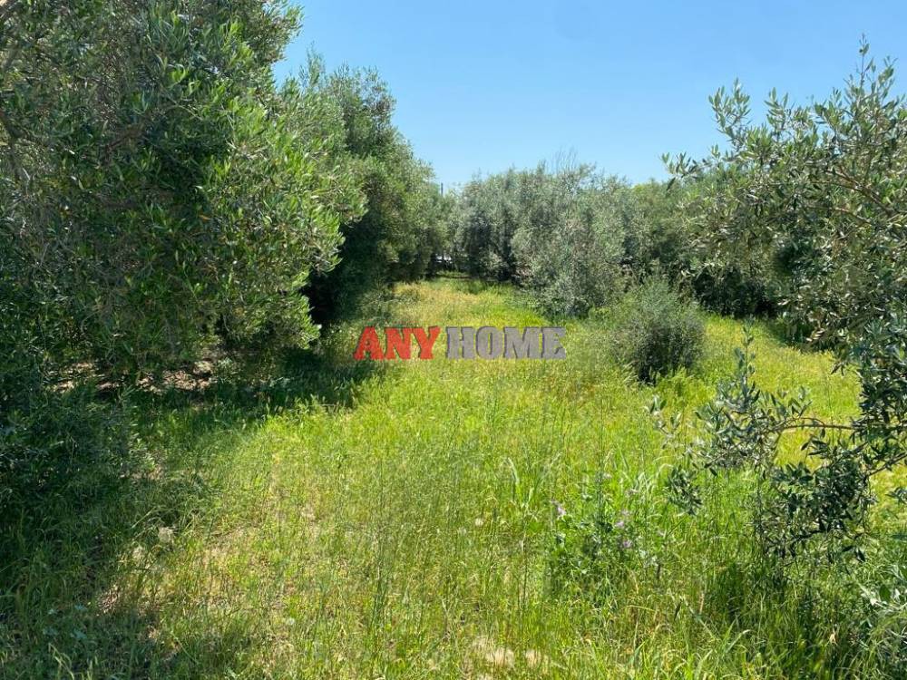 Γη 2.500 τ.μ. προς ενοικίαση, Θεσσαλονίκη - Περιφ/Κοί Δήμοι, Επανομή