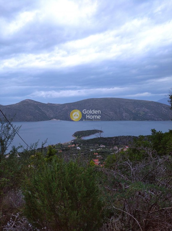 Οικόπεδο 1.008 τ.μ. προς πώληση, Σκροπονέρια Ανθηδώνος