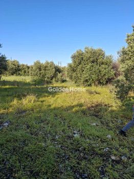 Αγροτεμάχια 427τ.μ. για πώληση-Ιεράπετρα » Κάτω χωριό