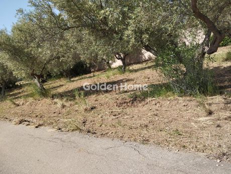 Αγροτεμάχια 4.000τ.μ. για πώληση-Ωρωπός » Κάμπος ωρωπού