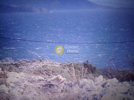 Οικόπεδο 540τ.μ. για πώληση-Μαραθώνας » Κέντρο