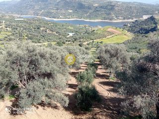 Αγροτεμάχια 4.065 τ.μ. για πώληση