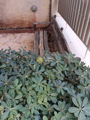 Επιχειρηματικό κτίριο 140 τ.μ. για πώληση