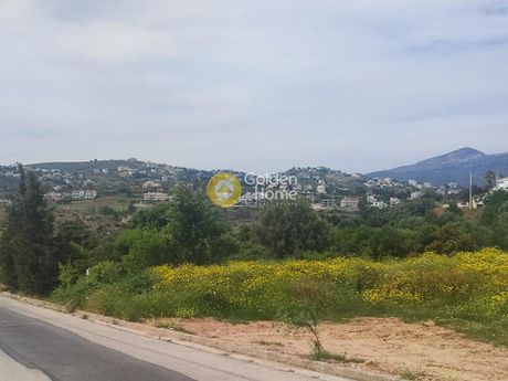 Οικόπεδο 331τ.μ. για πώληση-Σπάτα » Χριστούπολη