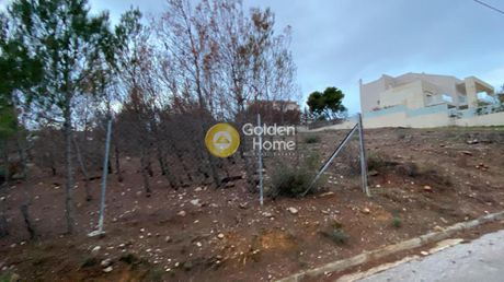 Οικόπεδο 1.024τ.μ. για πώληση-Ανθούσα