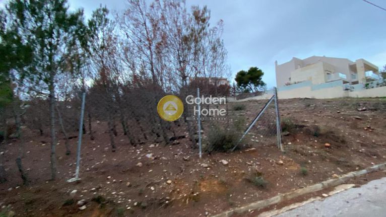 Οικόπεδο 1.024 τ.μ. για πώληση, Αθήνα - Ανατολικά Προάστια, Ανθούσα