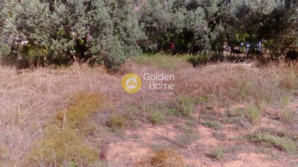 Οικόπεδο 420 τ.μ. προς πώληση, Αγία Άννα Κορίνθου