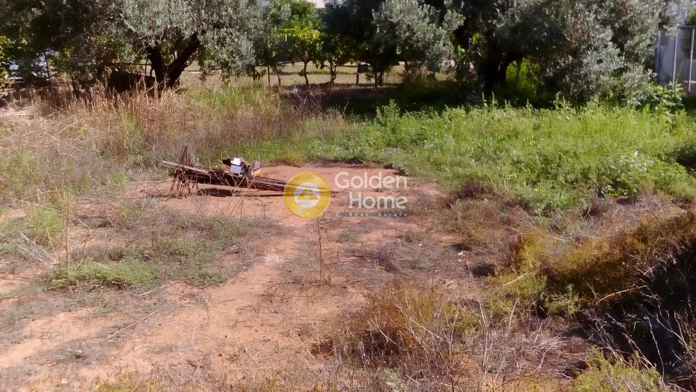Οικόπεδο 420 τ.μ. προς πώληση, Αγία Άννα Κορίνθου