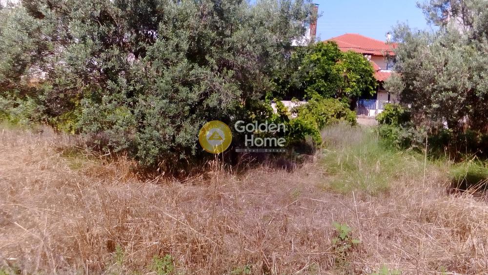 Οικόπεδο 420 τ.μ. προς πώληση, Αγία Άννα Κορίνθου