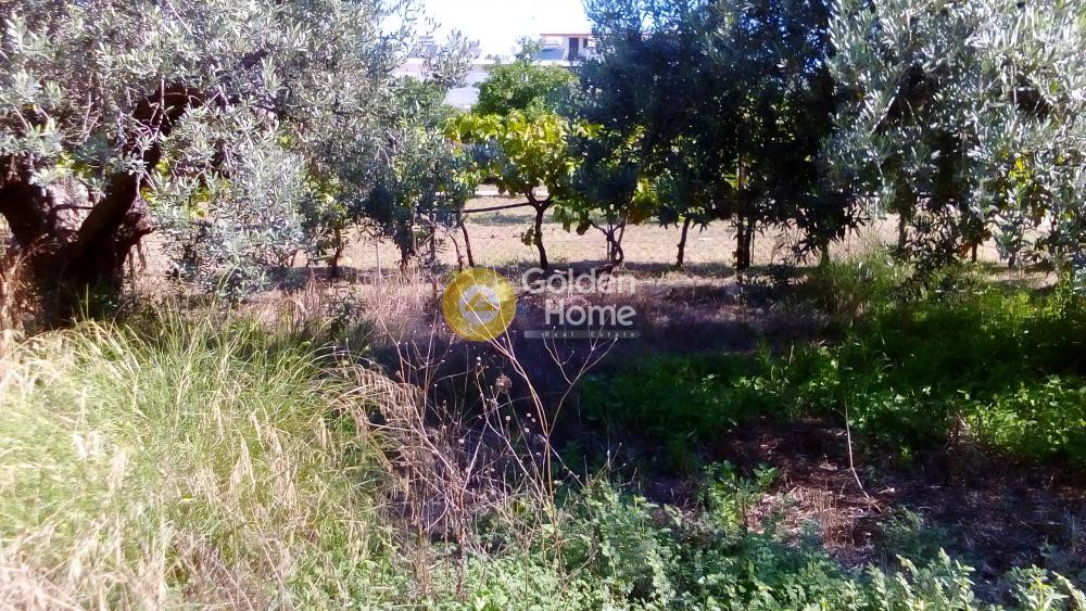 Οικόπεδο 420 τ.μ. προς πώληση, Αγία Άννα Κορίνθου