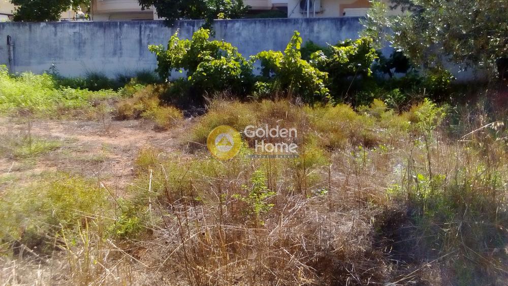 Οικόπεδο 420 τ.μ. προς πώληση, Αγία Άννα Κορίνθου