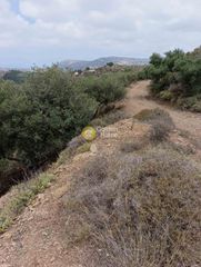 Οικόπεδο 1.196 τ.μ. για πώληση