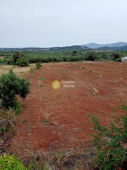 Αγροτεμάχια 3.000τ.μ. για πώληση-Τυμπάκι » Κέντρο