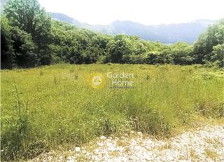 Αγροτεμάχια 5.000 τ.μ. για πώληση