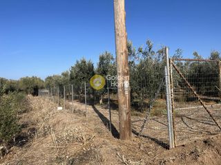 Αγροτεμάχια 7.500 τ.μ. για πώληση