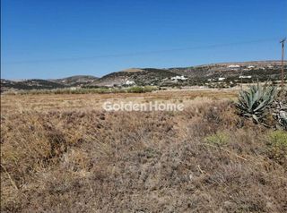 Αγροτεμάχια 5.000 τ.μ. προς πώληση, Ιστέρνι-thumb-1