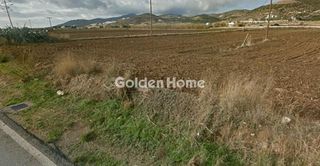 Αγροτεμάχια 5.000 τ.μ. προς πώληση, Ιστέρνι-thumb-3