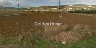Αγροτεμάχια 5.000 τ.μ. για πώληση