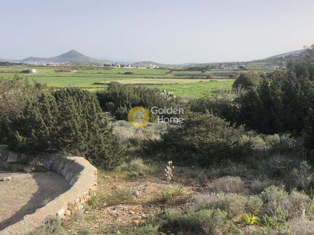 Αγροτεμάχια 8.350 τ.μ. προς πώληση, Ιστέρνι