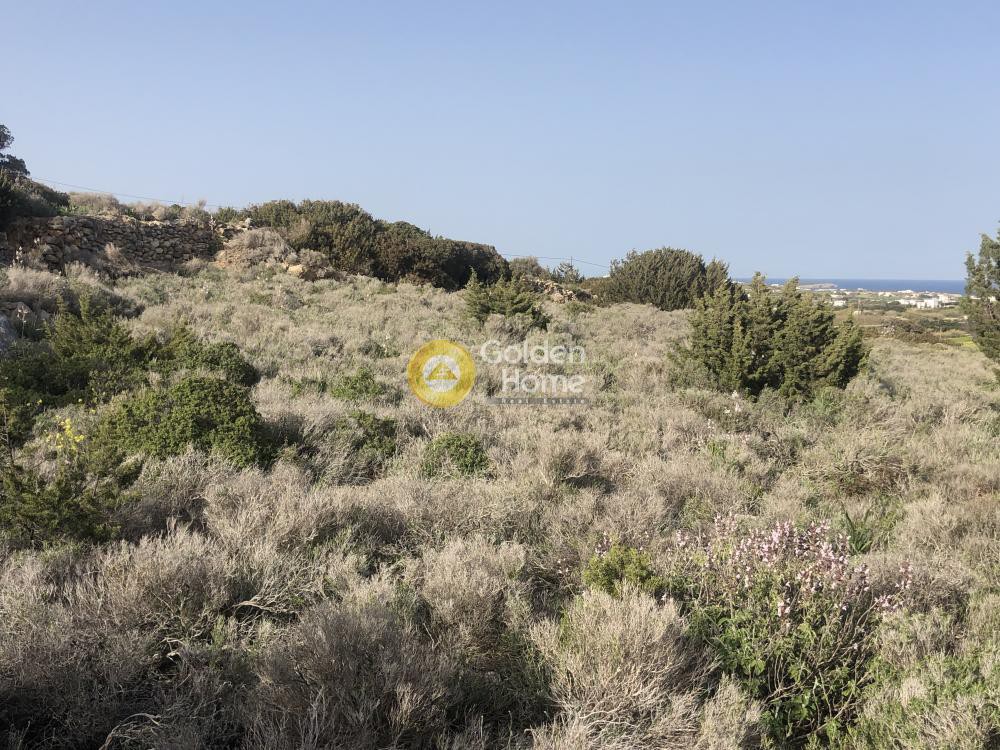 Αγροτεμάχια 8.350 τ.μ. προς πώληση, Ιστέρνι