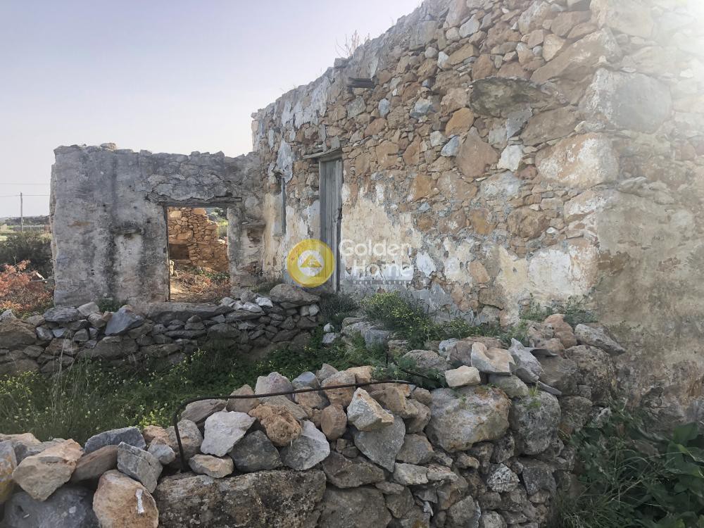 Αγροτεμάχια 8.350 τ.μ. προς πώληση, Ιστέρνι