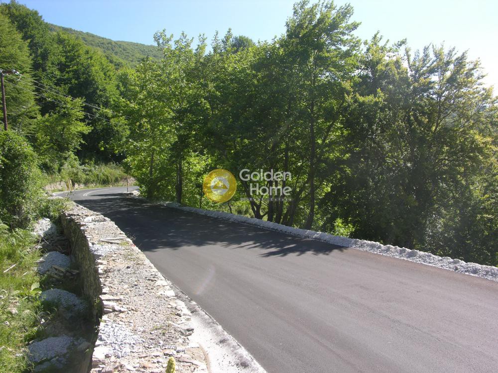 Οικόπεδο 43.000 τ.μ. πρός πώληση, Μαγνησία, Αγριά