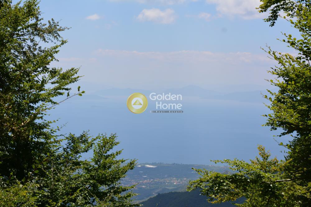 Οικόπεδο 43.000 τ.μ. πρός πώληση, Μαγνησία, Αγριά