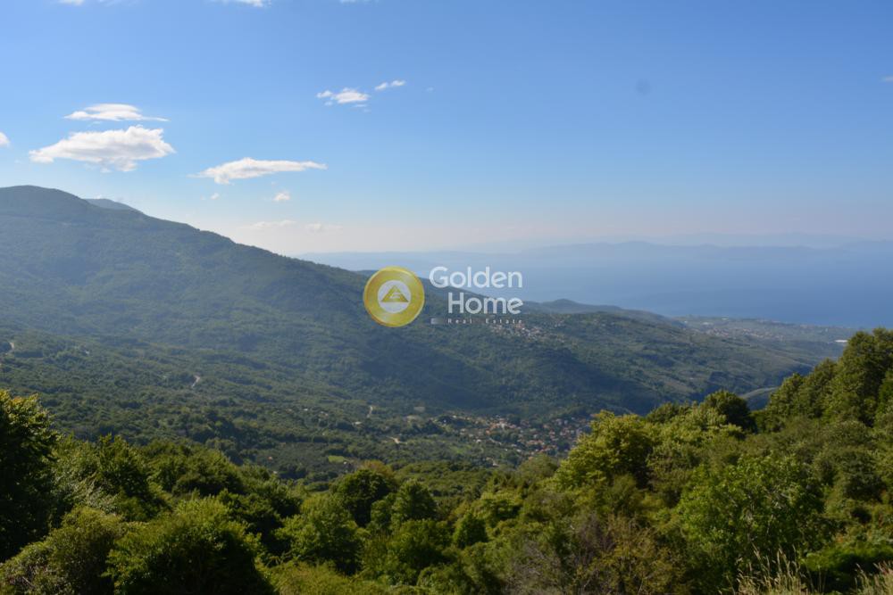 Οικόπεδο 43.000 τ.μ. πρός πώληση, Μαγνησία, Αγριά