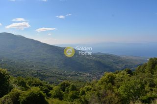 Οικόπεδο 43.000 τ.μ. για πώληση