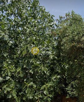 Οικόπεδο 559τ.μ. για πώληση-Χαϊδάρι » Δάσος
