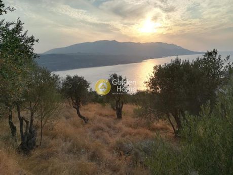 Αγροτεμάχια 4.000τ.μ. για πώληση-Σάμος » Βαθύ