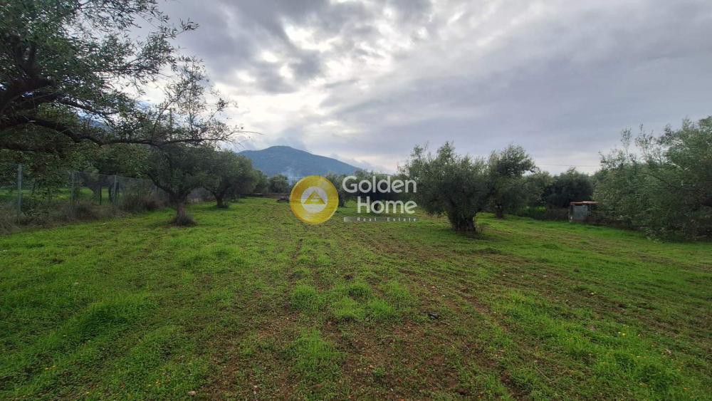 Αγροτεμάχια 3.086 τ.μ. προς πώληση, Κρόνια