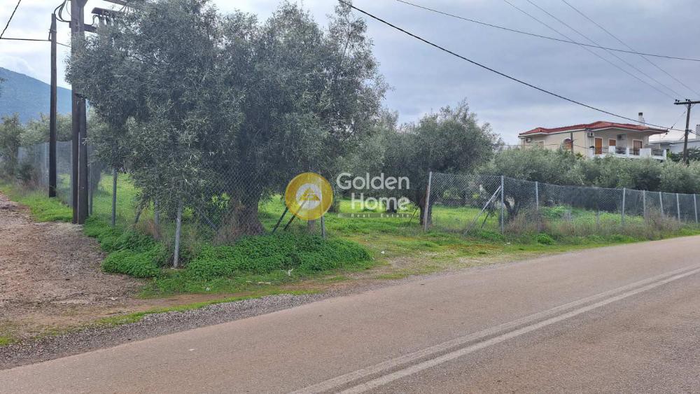 Αγροτεμάχια 3.086 τ.μ. προς πώληση, Κρόνια
