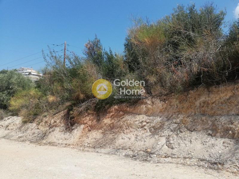 Οικόπεδο 4.000 τ.μ. προς πώληση, Λουτρά Αιδηψού
