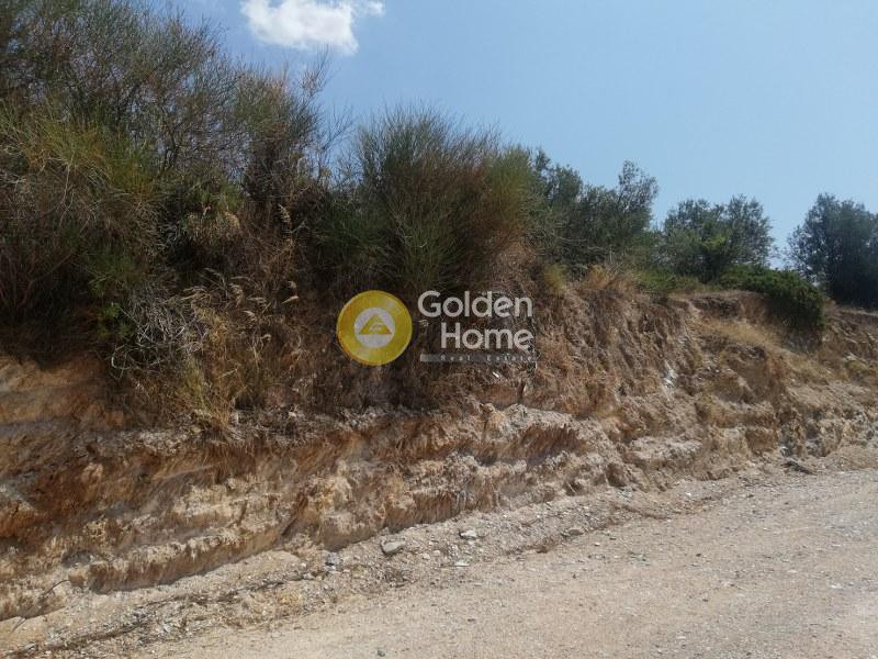 Οικόπεδο 4.000 τ.μ. προς πώληση, Λουτρά Αιδηψού