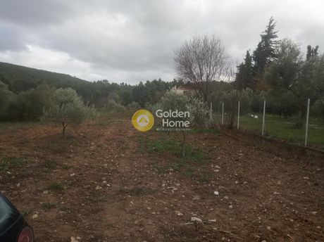 Αγροτεμάχια 2.300τ.μ. για πώληση-Σταμάτα » Κέντρο