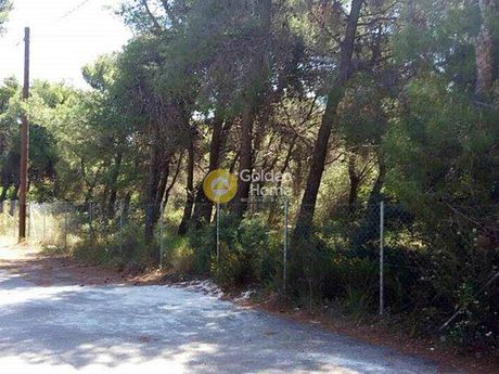 Οικόπεδο 1.000 τ.μ. για πώληση
