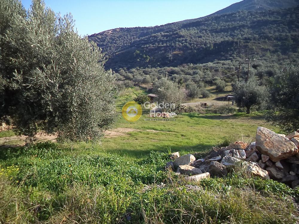 Αγροτεμάχια 700 τ.μ. προς πώληση, Άνω Αιγιαλός