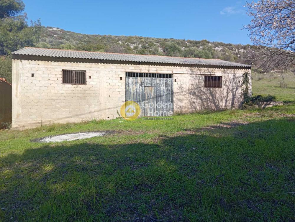 Αποθήκη 126 τ.μ. προς πώληση, Ακραίφνιο