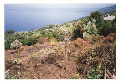 Αγροτεμάχια 4.238τ.μ. για πώληση-Κηρέα » Πύλη