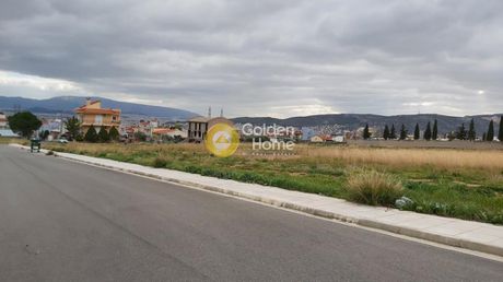 Αγροτεμάχια 11.200 τ.μ. για πώληση